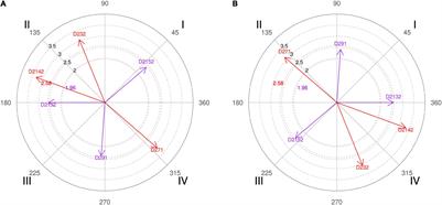 The Pick-and-Roll in Basketball From Deep Interviews of Elite Coaches: A Mixed Method Approach From Polar Coordinate Analysis
